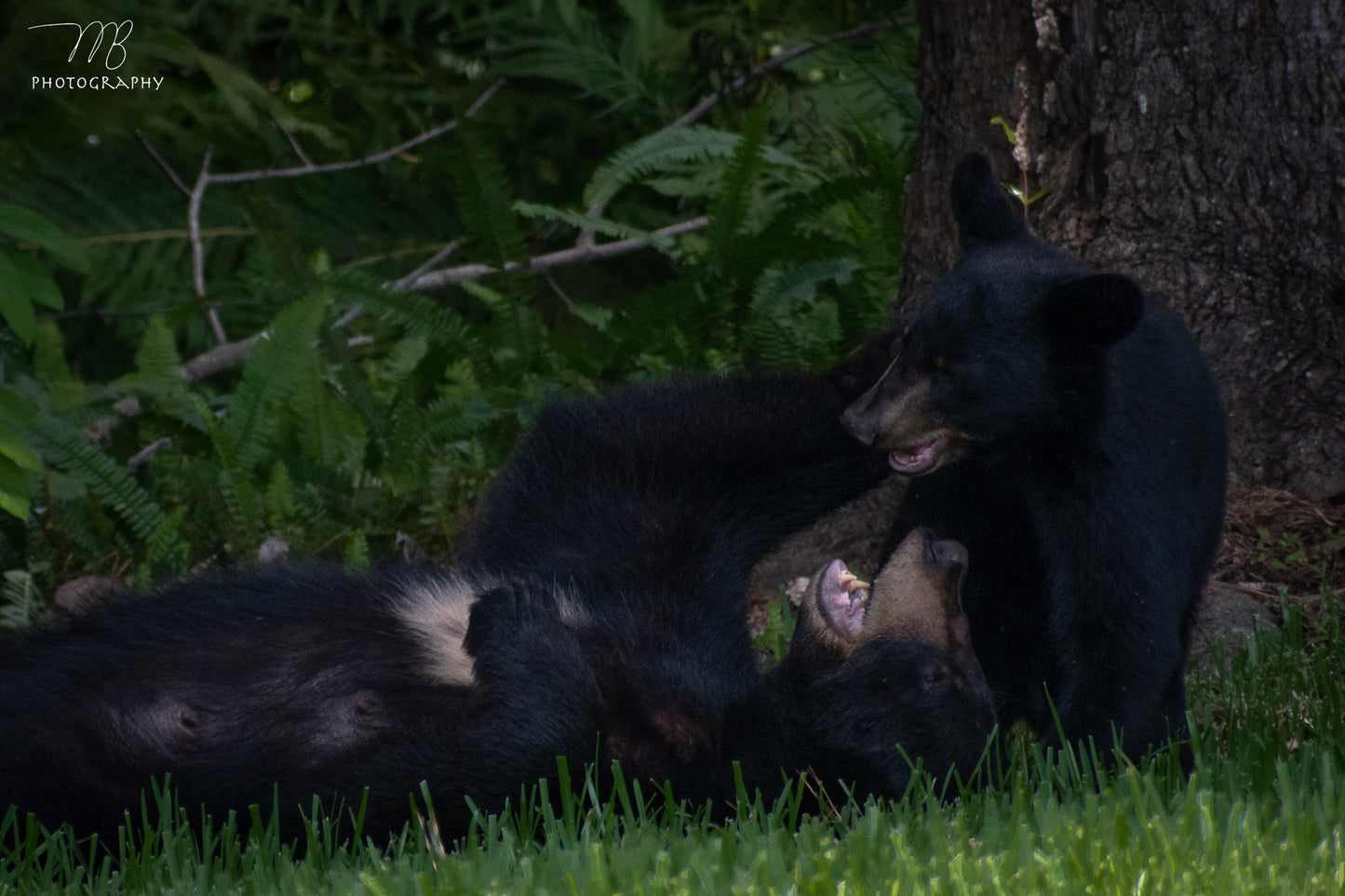 Mother’s Play