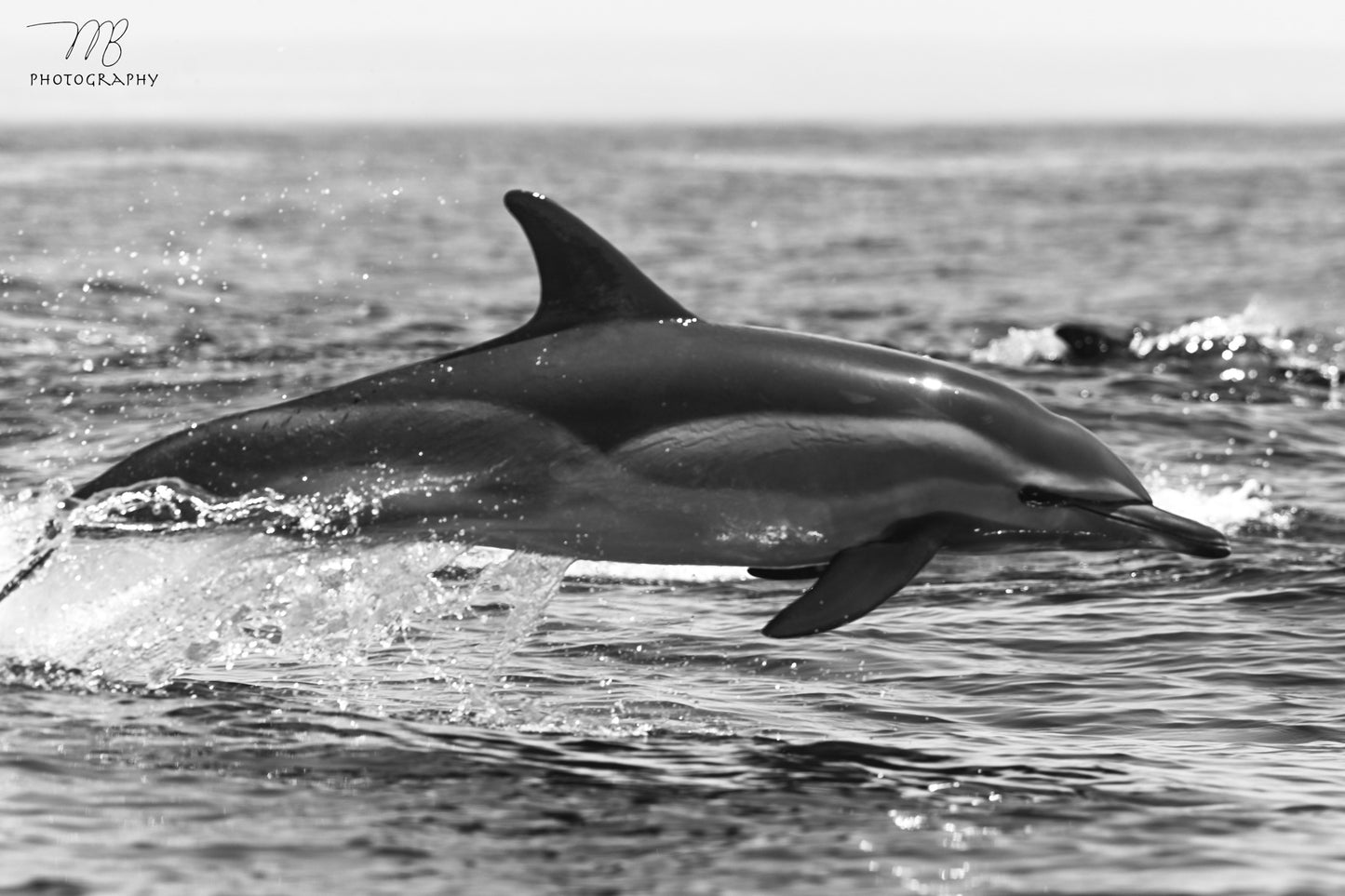 Breaking the Blue B&W