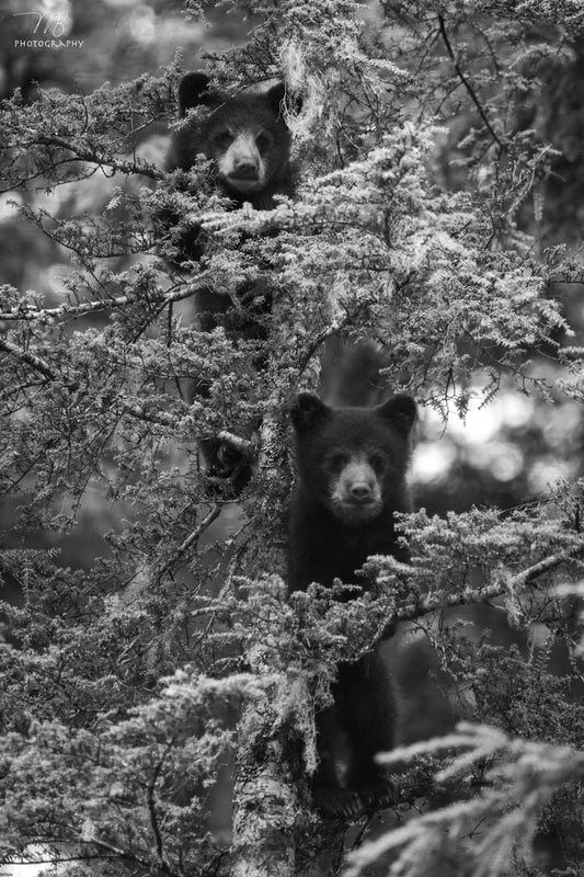 Climbing Lessons B&W