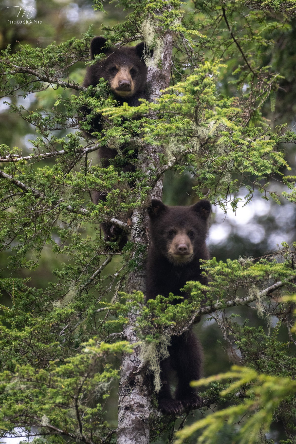 Climbing Lessons